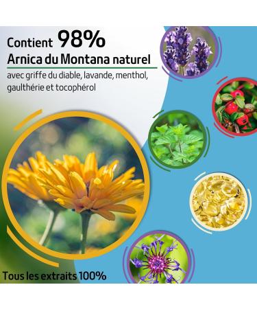 FITOATTIVI Arnica Gel Forte 98% Cold Effect 550ml with Devil's Claw Vitamin E and Camphor Massage Gel Ideal for Joint Pain  - Buy Online on GoSupps.com