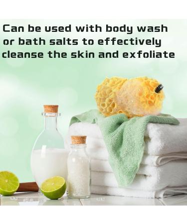 3 Pack Loofah Bath Sponges for Exfoliating and Cleansing | Ultra Soft Honeycomb Body Sponge Set for Shower | Men, Women, Children - Buy Online on GoSupps.com