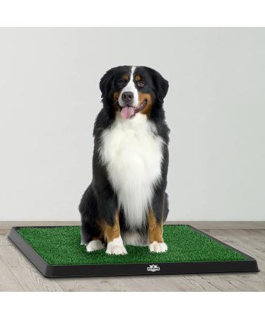 Petmaker Artificial Grass Puppy Pad with Tray - Medium Size 3-Layer System for Dog Training and Housebreaking - Buy Online on GoSupps.com