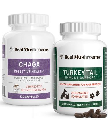 Real Mushrooms Chaga for Humans (120ct) & Turkey Tail for Pets (90ct) - Bundle for Digestive Health and Immunity - Vegan Non-GMO Grain-Free Gluten-Free Mushroom Extract Capsules