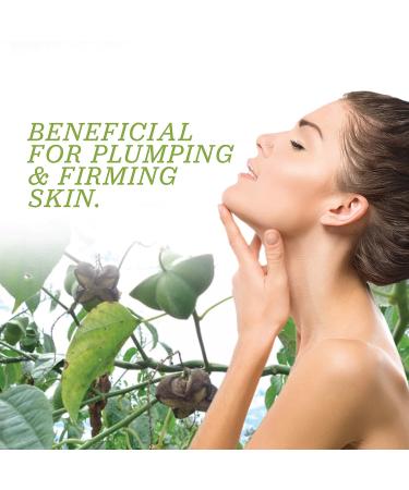 Sacha Inchi Oil - Organic Cold Pressed Superfood for Hair - 8.5oz by Amazon Therapeutic Laboratories - Buy Online on GoSupps.com