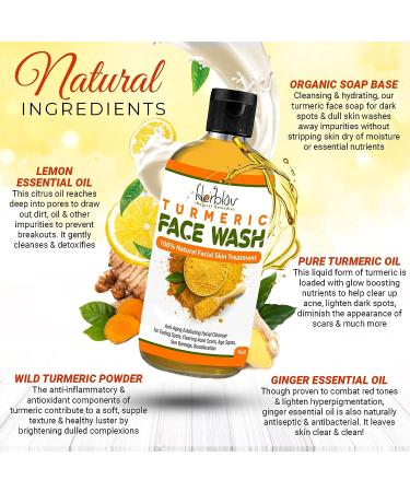 Herblov Turmeric Face Wash 4oz - Natural Anti Aging Exfoliating Cleanser for Acne Scars & Sun Damage - Buy Online on GoSupps.com