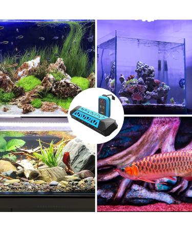 Magtool 100-1500W Aquarium Heater - Automatic Shutdown Overheating Protection Digital Controller for Freshwater & Saltwater Ideal for Diving - Buy Online on GoSupps.com