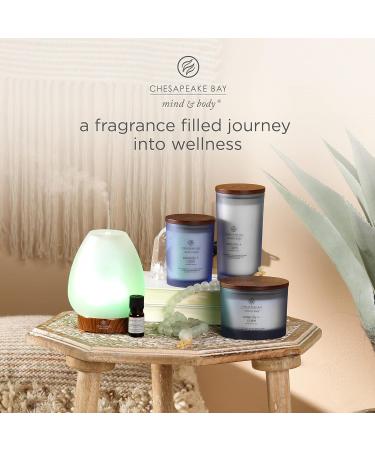 Chesapeake Bay Serenity + Calm Scented Candle | Large Tumbler Aromatherapy | Up to 82 Hours Burn Time | Mind & Body Collection - Buy Online on GoSupps.com