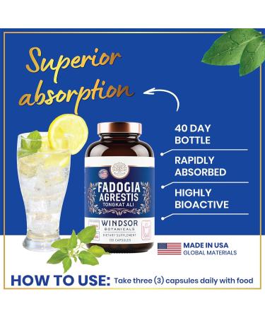 Fadogia Agrestis & Tongkat Ali Supplement - 600mg Fadogia 500mg Longjack for Men | Energy Stamina & Vitality - 120 Capsules - Buy Online on GoSupps.com