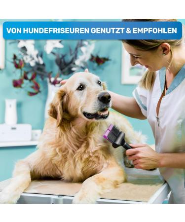 Bluepet Professional Long Hair Dog Brush | Gentle Plucking Brush for Dogs & Cats - Removes Mats & Knots - Large Pink - Buy Online on GoSupps.com