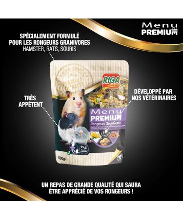 Riga - Premium Menu for Granivorous Rodents - Mix of Seeds Cereals Vegetables Fruits and Nuts - Tri-Nutrition Concept - Ri - Buy Online on GoSupps.com