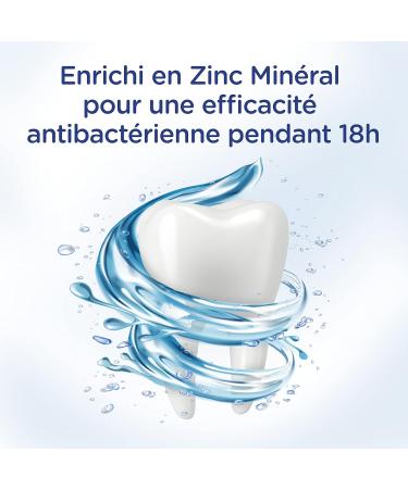 SIGNAL - Bain de Bouche Int gral 8 D tox Compl te - Infus au Charbon Actif - Enrichi en Zince Min ral pour une fficacit antibact rienne pendant 18h - Sans Alcool - 500ml (Lot de 2) - Buy Online on GoSupps.com