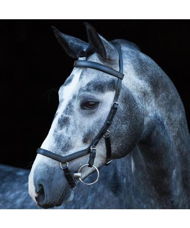 Ireland Rambo Micklem Competition Bridle Black L - Premium Quality Equestrian Gear for Global Shipping - Buy Online on GoSupps.com