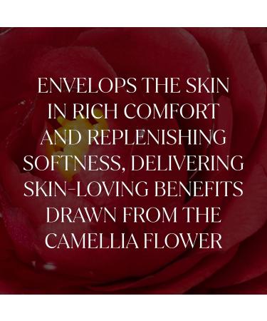 FEMMUE Ideal Camellia Signature Cream (1.58 oz) | Face Moisturizer With Camellia Seed Oil to Nourish Dry Damaged Skin | Korean Skincare Ideal Camellia_2 - Buy Online on GoSupps.com