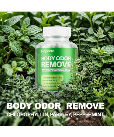 Body Deodorizing Supplement Natural Internal Odor Control Pills for Men & Women Chlorophyll Capsules for Skin Breath and Gut Health (60 Capsules) 60 Count (1 Bottles) - Buy Online on GoSupps.com