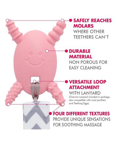 Teething Egg Pink Bundle - Baby Registry Essential - Infant Toys for 0-18 Months - Buy Online on GoSupps.com