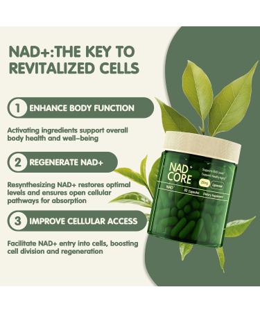 NAD+ Nicotinamide Riboside Supplement- Extra Strength NAD Alternative Liposomal Supports Healthy Aging for Women and Men 60 Capsules - Buy Online on GoSupps.com