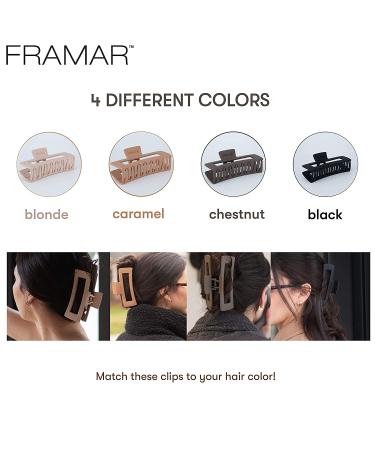 FRAMAR Large Claw Clips Variety Pack for Thick and Long Hair - Cute and Neutral Hair Claws - Buy Online on GoSupps.com