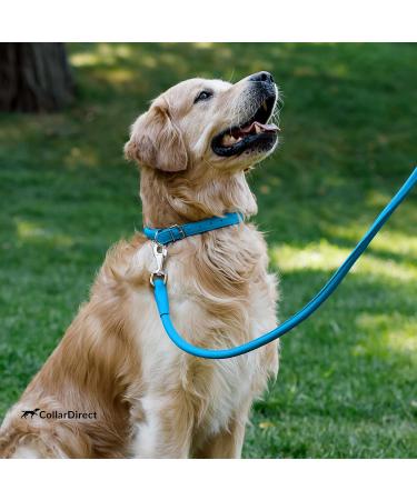 Collardirect Handmade Soft Padded Round Leather Dog Collar - Adjustable Real Leather for Small to Big Dogs & Cats - Available in Black Pink Red Purple Blue (23-28 cm) - Buy Online on GoSupps.com