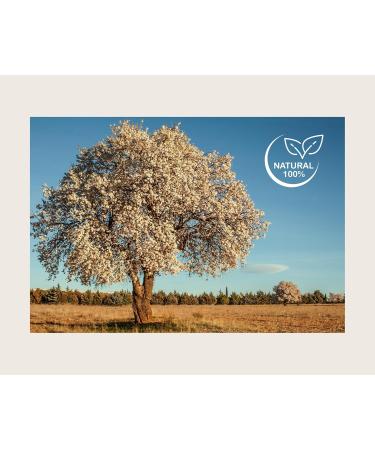 GIANSER just for men: Body and Hand Cream for Men - It does not stick after passing it natural smell and sublimated skin. - Buy Online on GoSupps.com