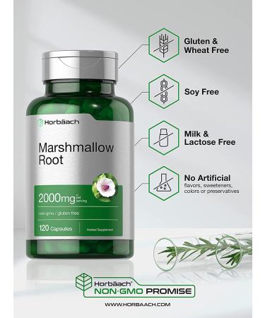 Marshmallow Root Capsules 2000mg - 120 Count | Non-GMO & Gluten Free | Traditional Herb Extract - Buy Online on GoSupps.com