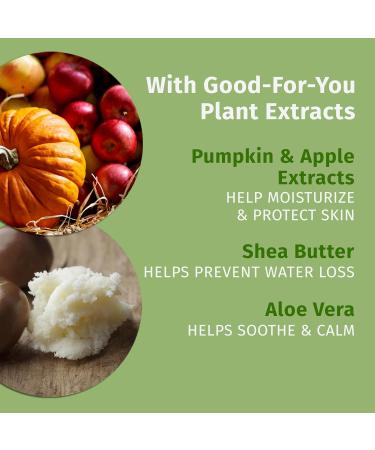 Hempz Fall Faves Trio Lotion & Lip Balm Set Limited Holiday Run Moisturizing and Nourishing Gift Pack Travel Size - Buy Online on GoSupps.com