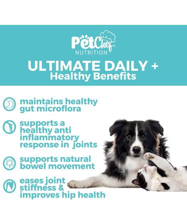 Pet Chef Nutrition Probiotic Powder for Dogs | 30 Billion CFUs, 6 Probiotics, MSM, Chondroitin & Glucosamine | Joint, Gut, Digestive Health - 212 Servings - Buy Online on GoSupps.com