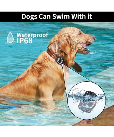 Tepimato AirTag Dog Collar Holder IP68 Waterproof Air Tag Collar Hard TPU Full Protection Compatible with Apple Airtag Air Tag. Holder for Dog Cat Collar Pet Accessories(2 Pcs Black) 2 pack Black - Buy Online on GoSupps.com