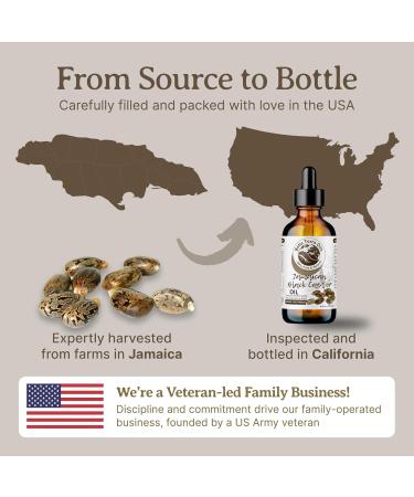 Buy Bella Terra Oils Pure Black Castor Oil - 1 Gallon for Hair & Skin | Fortifying Moisturizing Shine & Hydrate (Pack of 10) - International Shipping Available - Buy Online on GoSupps.com
