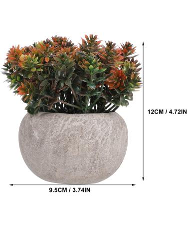 Ciieeo 2pcs Simulated Green Bonsai Artificial Succulents Plants Miniture Decoration Artificial Cactus Small Succulent Plants Silk Plants Greenery Decor Accessories Office Foam Nordic - Buy Online on GoSupps.com