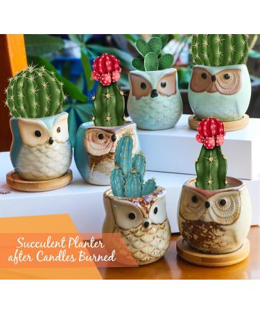 Scented Owl Candles - Perfect Birthday Gifts for Women | 6 Pack Aromatherapy Candles - Unique Owl Gifts for Mother's Day & Thanksgiving - Buy Online on GoSupps.com
