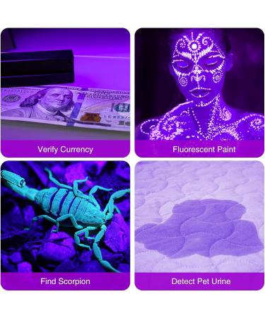 Cosoos UV Black Light Flashlight - 2 PCs Mini Pet Urine Detector with 12 LEDs - Find Urine Stains from Dogs Bed Bugs & Scorpions - No Batteries Included - Buy Online on GoSupps.com