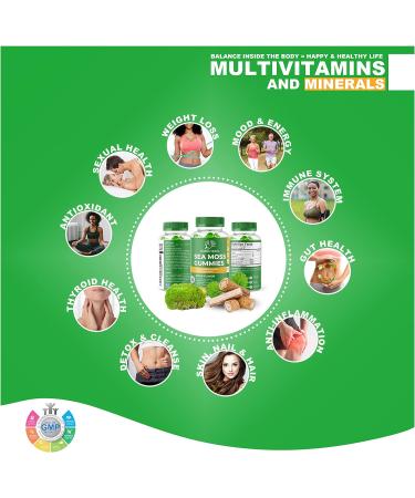 Organic Irish Sea Moss Gummies with Bladderwrack & Burdock Root 2840 Mg - 60 Gummies | Apple Flavour | Vegan, Gluten-Free, Non-GMO | Vitamins & Minerals | High Strength Formula - Buy Online on GoSupps.com