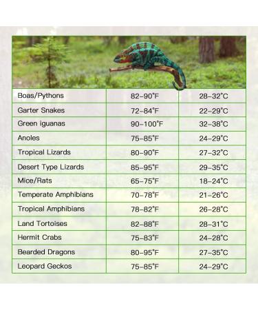 Simple Deluxe Reptile Heat Pad 8W/16W/24W with Thermostat - 2 Pack Heating Mat for Terrarium - 8 X 12 Inch - Ideal for Turtle, Snake, Lizard, Frog - Buy Online on GoSupps.com