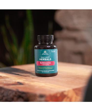 Ancient Nutrition Elderberry + Probiotics | Dr. Axe | 60 Capsules | Immune Support - Buy Online on GoSupps.com