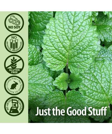 Nature's Answer Periobrite Toothpaste Coolmint | Whitening & Cavity Protection | Sensitive Teeth Relief & Fresh Breath - Buy Online on GoSupps.com