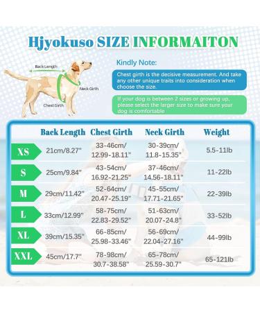 Wallpage Dog Life Jacket - XS Blue Reflective Vest for French Bulldogs - Adjustable Strong Buoyancy & Rescue Handle for Swimming & Boating - Buy Online on GoSupps.com