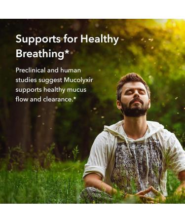Allergy Research Group Mucolyxir Supplement - Mucus Relief & Lung Support with Wild Pacific Salmon - 0.4 Fl Oz - Buy Online on GoSupps.com
