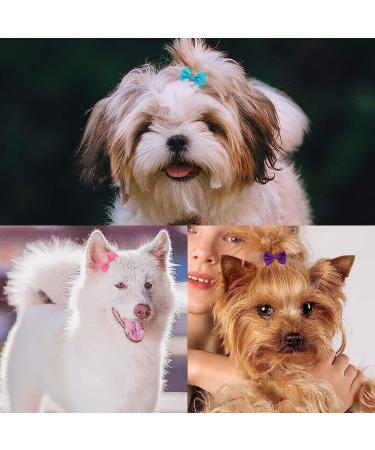 XIMA 48PCS Dog Hair Bows Clips - Handmade Accessories for Pets - Grooming Supplies for Dogs, Cats, Kittens, and Rabbits - Mixcolors-48pcs - Buy Online on GoSupps.com