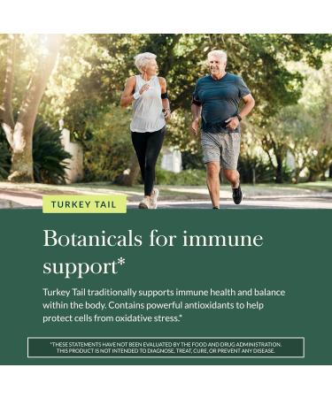 Gaia Herbs Turkey Tail Mushroom - Traditional Immune Support & Liver Health Supplement* - with Organic Turkey Tail Mushroom Fruiting Body Extract - 120 Vegan Capsules (120 Servings) 120 Count (Pack of 1) - Buy Online on GoSupps.com
