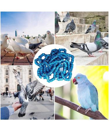 50 Pcs Multicolored Aluminum Pigeon & Chicken Leg Rings - Bird Identification Foot Rings for Training & Accessories - Buy Online on GoSupps.com