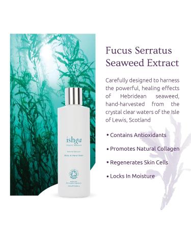 Ishga Body & Hand Wash - Natural Organic Skincare with Scottish Seaweed & Essential Oils | Vegan & Cruelty-Free | 250ml - Buy Online on GoSupps.com