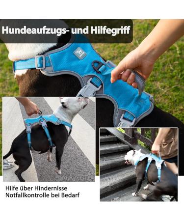 Huntboo Panic Dishes & Heef Large Dog Harness - Waterproof Breathable Adjustable Vest for Large Dogs (Blue L) - Durable Design - Buy Online on GoSupps.com