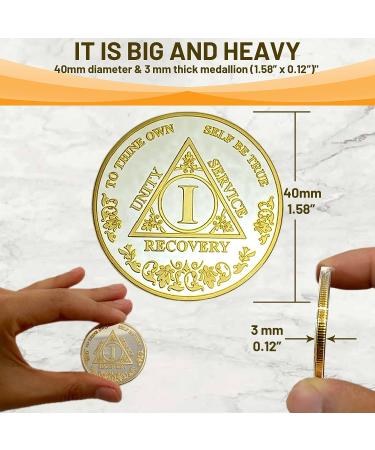 1 Year Sobriety Coin | AA Medallion for Alcoholics Anonymous Recovery - Buy Online on GoSupps.com