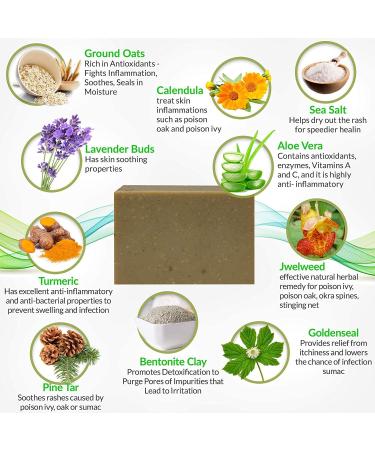 Natrulo Poison Ivy Soap Bar - Natural Treatment for Poison Ivy, Oak & Sumac - Anti-Itch Skin Cleanser - Soothes Rashes - Made in USA - 4 oz - Buy Online on GoSupps.com