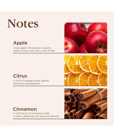 Aromatique Cinnamon Cider Foaming Hand Soap 12 oz Gentle Cleanser with Warm Cinnamon Apple & Citrus Scent Moisturizing Fall Soap Paraben-Free Made in the USA - Buy Online on GoSupps.com