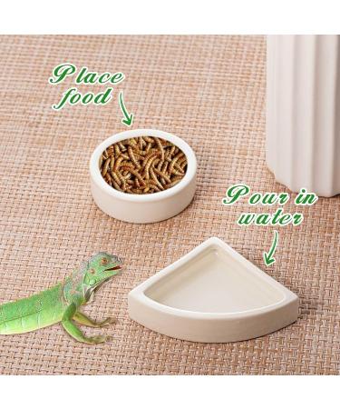 Ziliny 2 Pcs Reptile Feeding Tongs Stainless Steel Long Handle Tweezers Straight and Bent Rubber Tipped Tweezers with 2 Pcs Reptile Food Dish Bowl Terrarium Feeder Tools for Gecko Snake (10'' 10.5'') - Buy Online on GoSupps.com