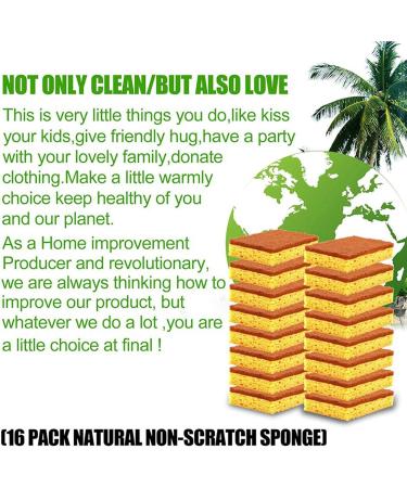 Pteanecay 32 Pack Biodegradable and Compostable Sponges Scouring Pad Palm Fiber Eco-Friendly Sponge for Kitchen Dishes Cleaning - Buy Online on GoSupps.com