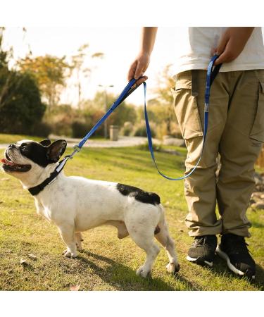 Vivaglory Traffic Handle Dog Leash - 1.5m Reflective & Padded Dual Handle Strong Metal Hook - Best Training Leash for Dogs - Blue - Buy Online on GoSupps.com
