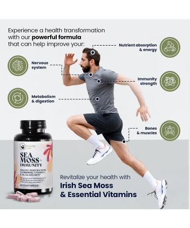 HAPPY FOX Irish Sea Moss Capsules with Elderberry, Vitamin C, D3, B9, B12 & Iron - 90ct | Organic Superfood for Thyroid & Immune Support, Natural Energy, Gut, Skin & Joint Health - Buy Online on GoSupps.com