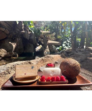 Coconut Oil & Raspberry Bar Shampoo for Normal Hair | Rich Foam, Sulfate-Free | Zero Waste, Vegan, Eco-Friendly | 3.53 Oz - Buy Online on GoSupps.com