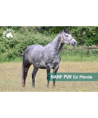 Buy Sowi-Natur Hemp PUR Horse 500g - Support Immune System Joints & Digestion - Premium Hemp Herbs for Horses - Buy Online on GoSupps.com