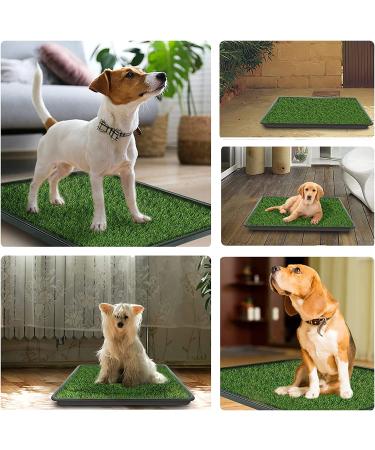 VKMUOI Dog Grass Pad with Tray for Indoor-Outdoor Puppy Potty Training - Buy Online on GoSupps.com