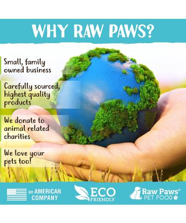 Raw Paws Catnip Lollipop (6-Pack) - Catnip Toys for Indoor Cats - Catnip Ball, Silvervine & Matatabi Stick for Cats - Buy Online on GoSupps.com